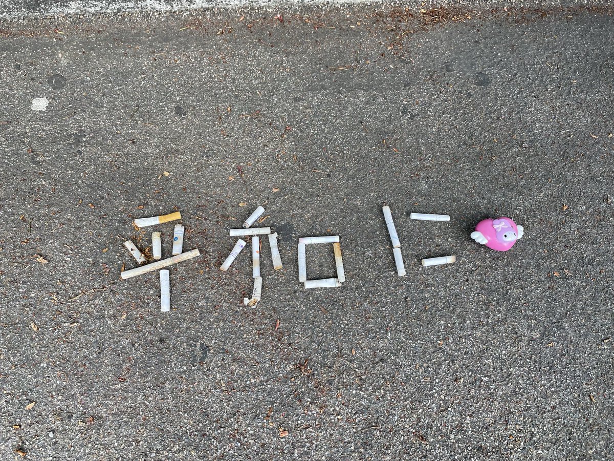 丸尾まき　兵庫県議　緑の党　会派：無所属 tweet media