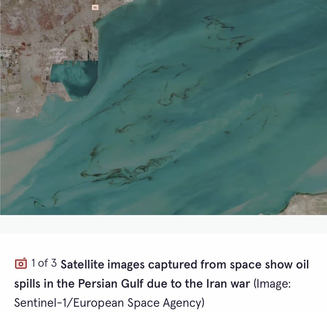 Adriana Braniff tweet media