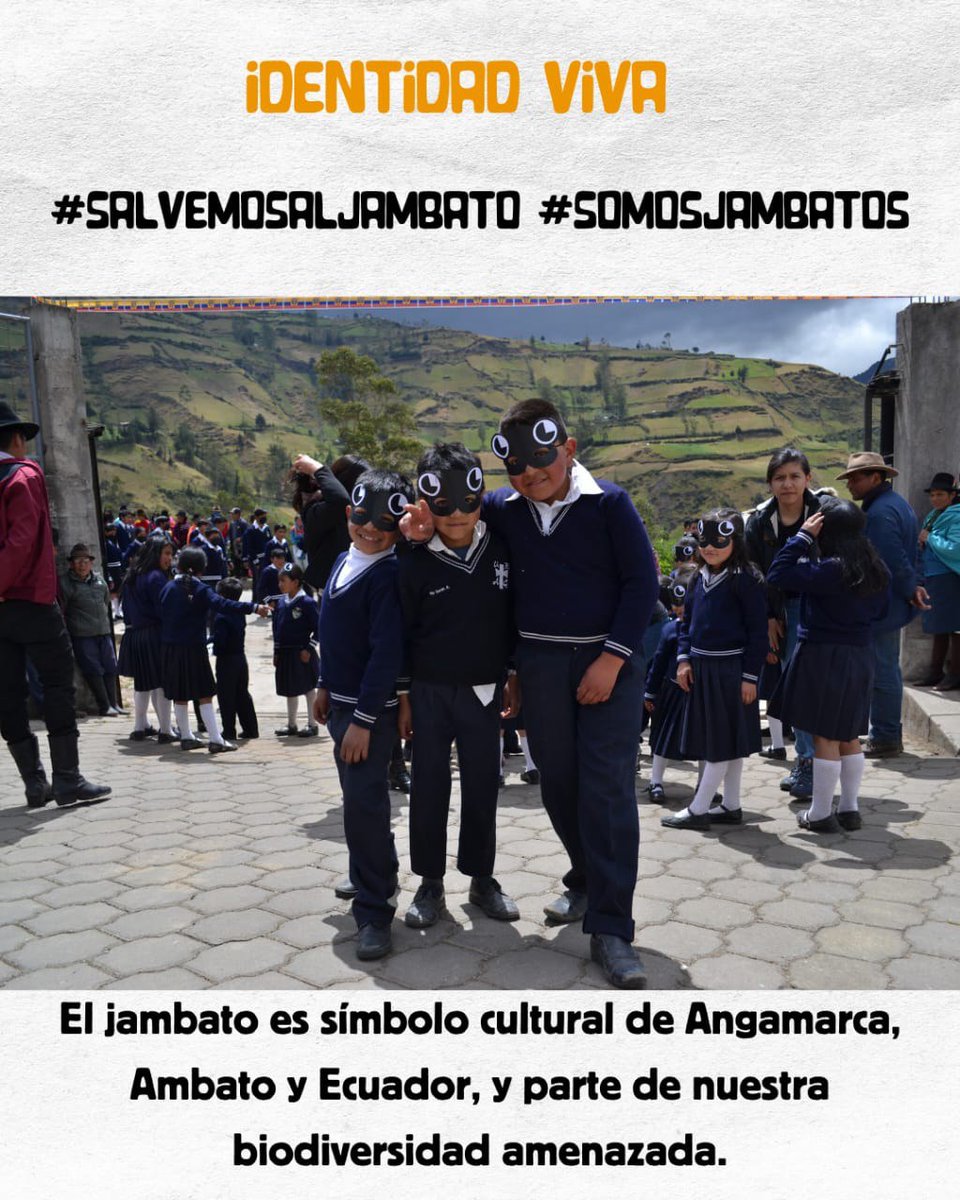 Danna Lucia tweet media