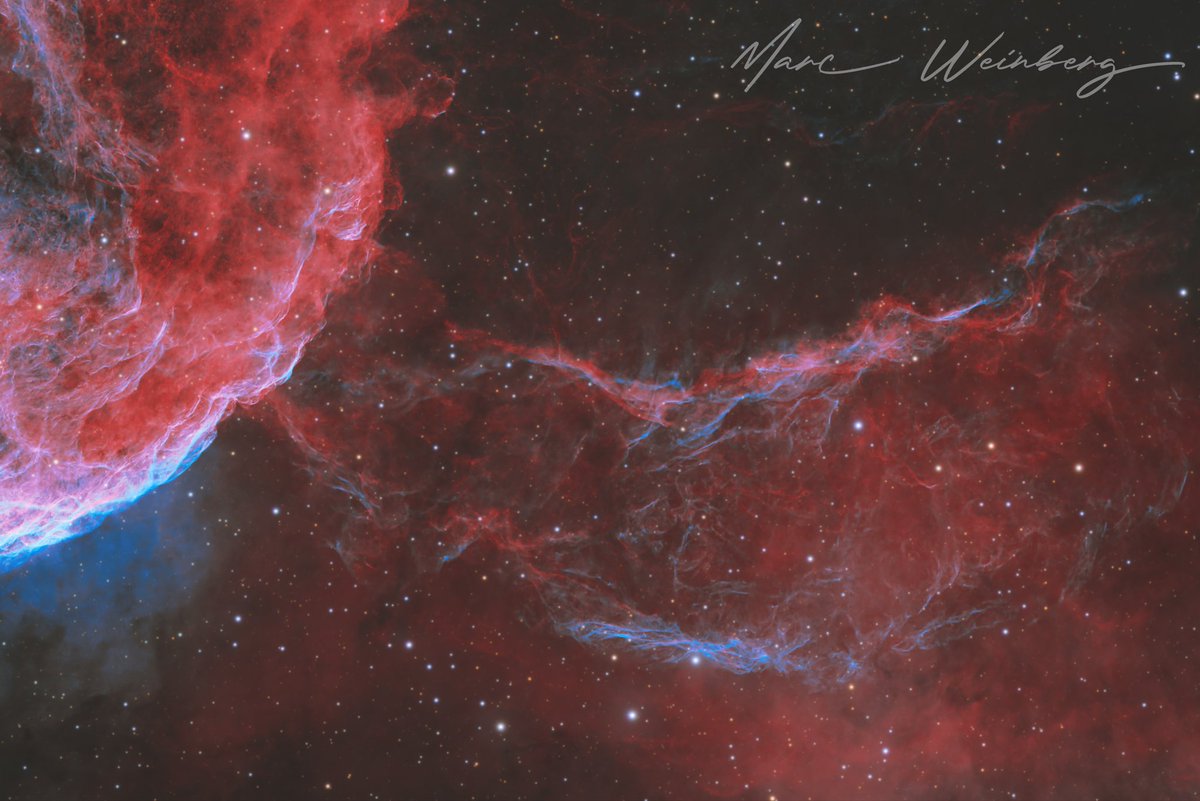 Marc Weinberg tweet media