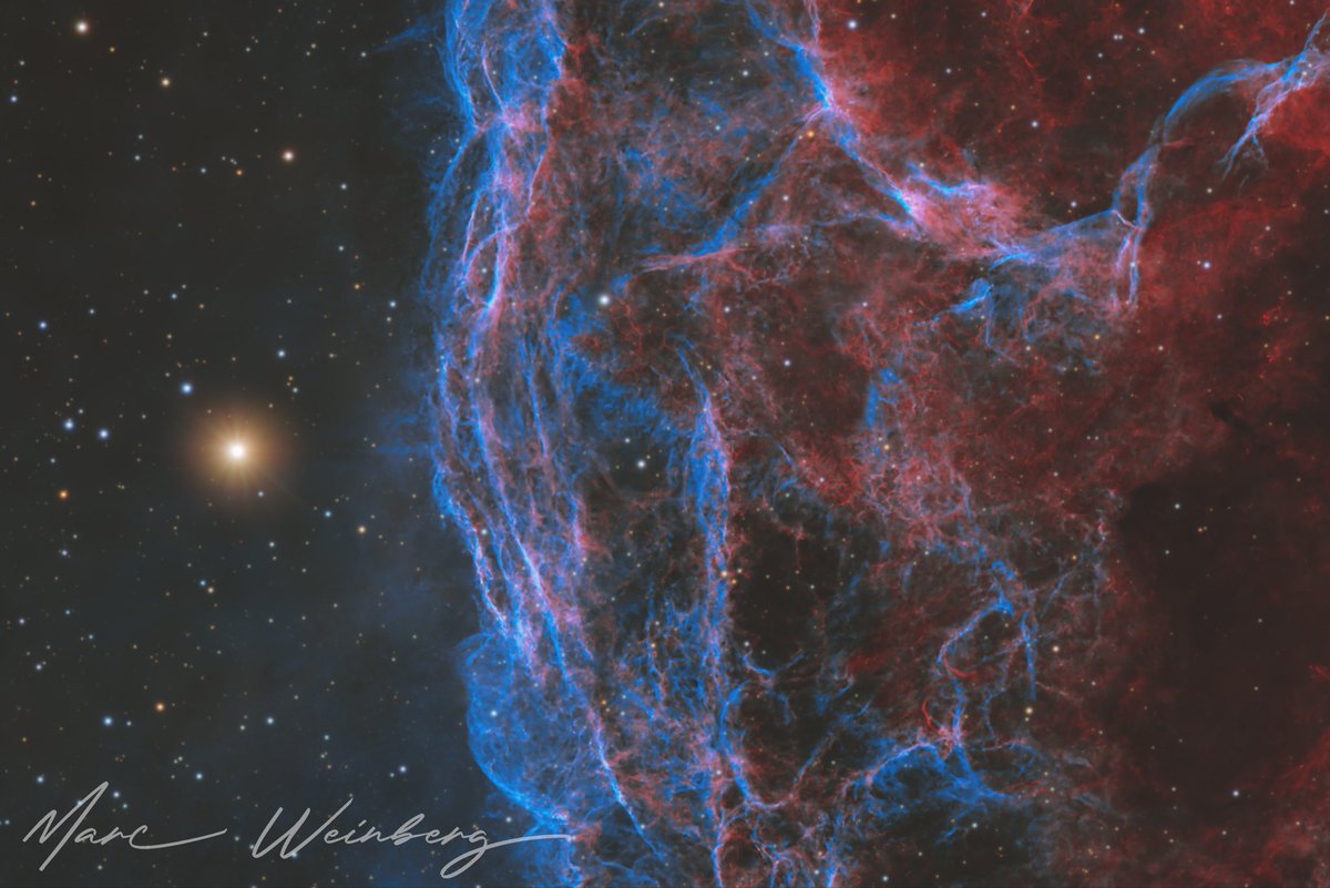 Marc Weinberg tweet media