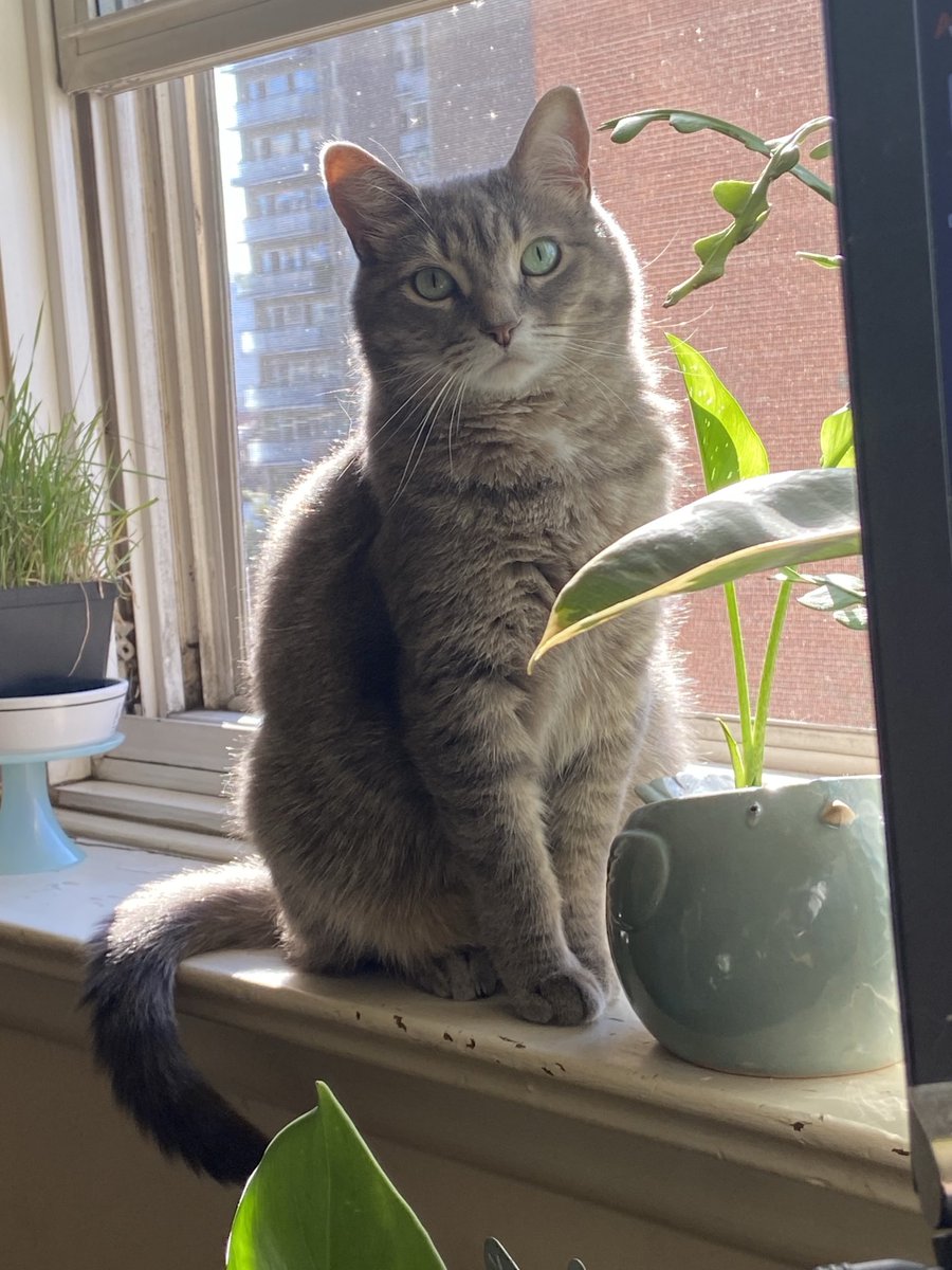 Sara Louise tweet media