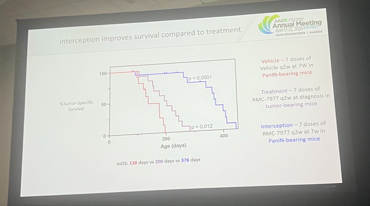 DrAngelaLamarca's tweet image. One las thought from @AACR #AACR26…

What if KRAS inhibitors could actually #prevent malignant transformation of #PanIN? 

Think big…
Still lots to do
But let’s think big…

Thank you #SanDiego for this inspiring few days 🫶