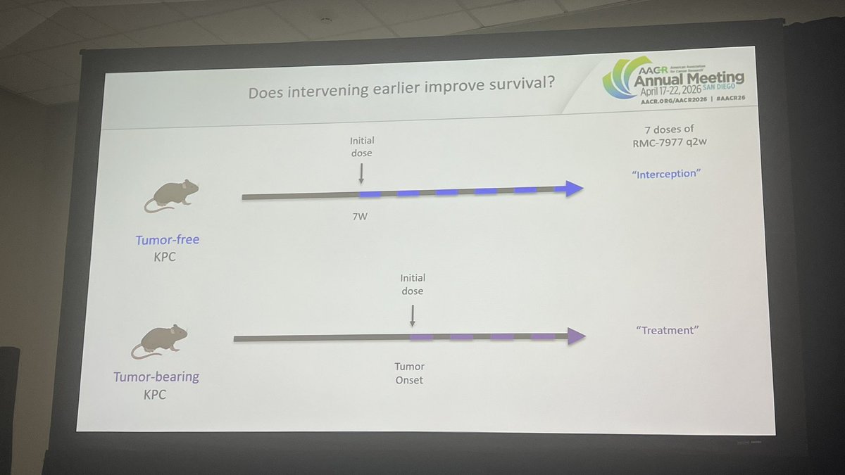 DrAngelaLamarca's tweet image. One las thought from @AACR #AACR26…

What if KRAS inhibitors could actually #prevent malignant transformation of #PanIN? 

Think big…
Still lots to do
But let’s think big…

Thank you #SanDiego for this inspiring few days 🫶