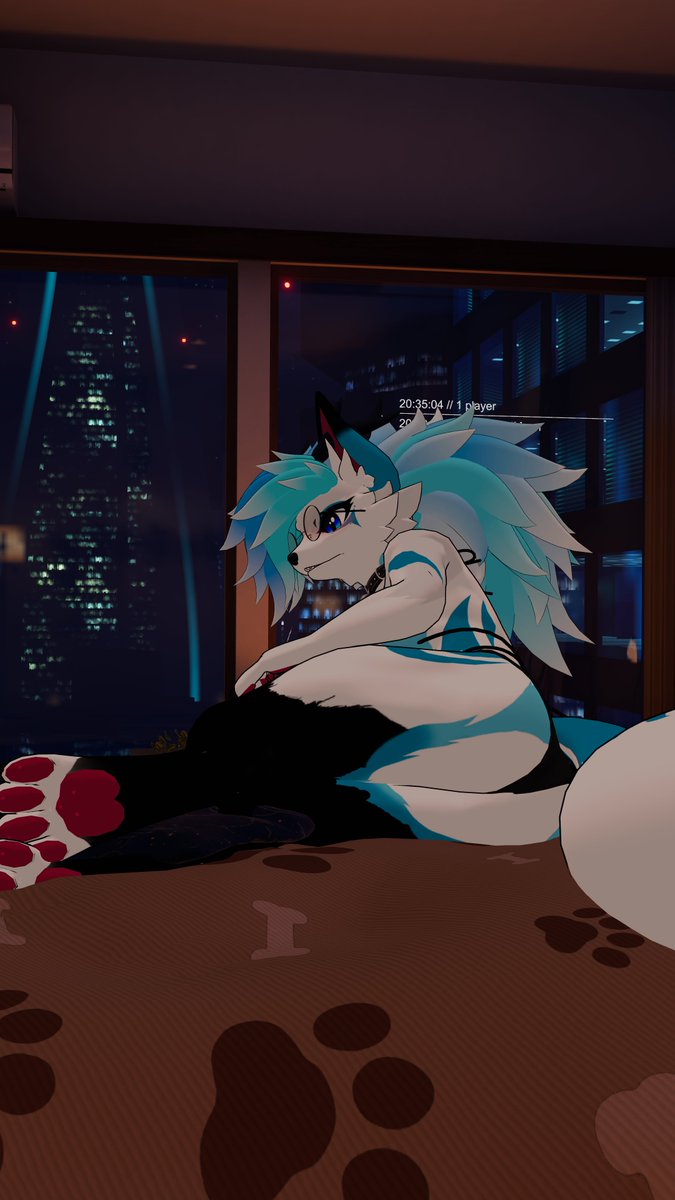 Bluebell Moonlight🌙 tweet media