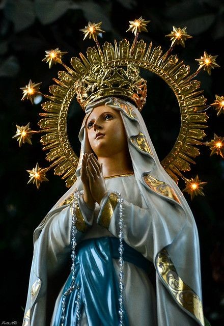 Beauty of the Catholic Faith tweet media