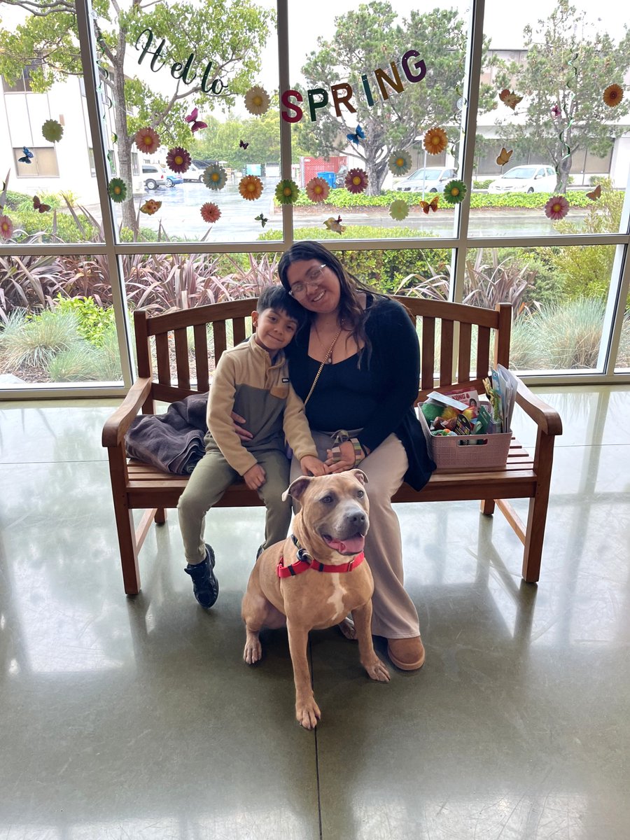 PHS/SPCA tweet media