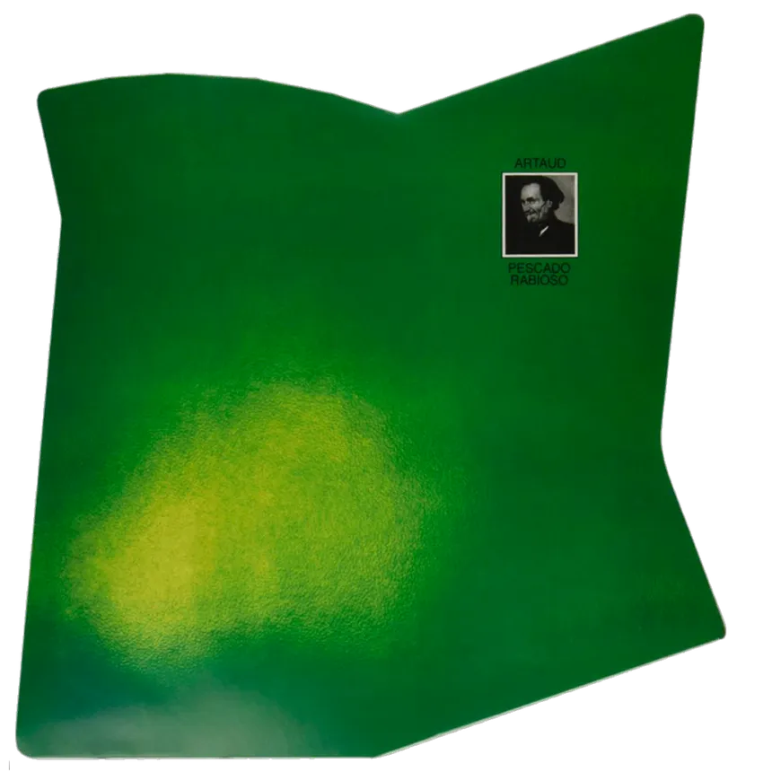 doi 🇦🇷 tweet media