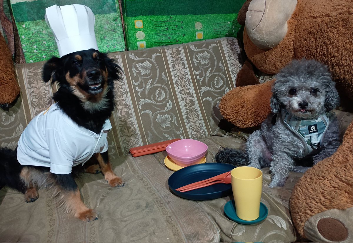 Kiwi A. S. tweet media