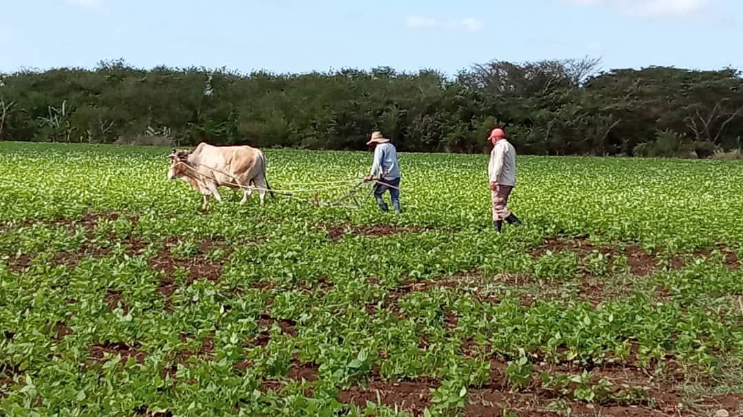 Yadiel Lazcano Quevedo tweet media
