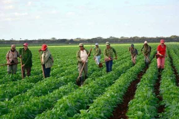 Yadiel Lazcano Quevedo tweet media
