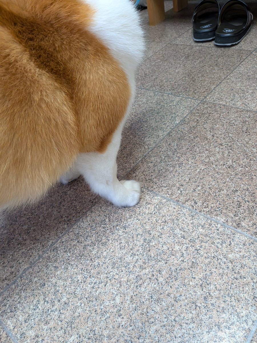 宙波(ひろは) tweet media