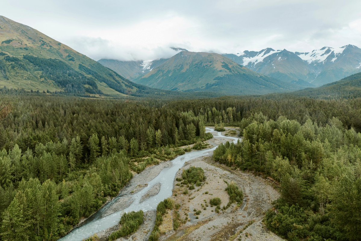 God's Country tweet media