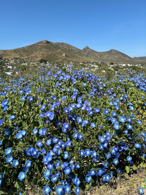 Susan Reed tweet media