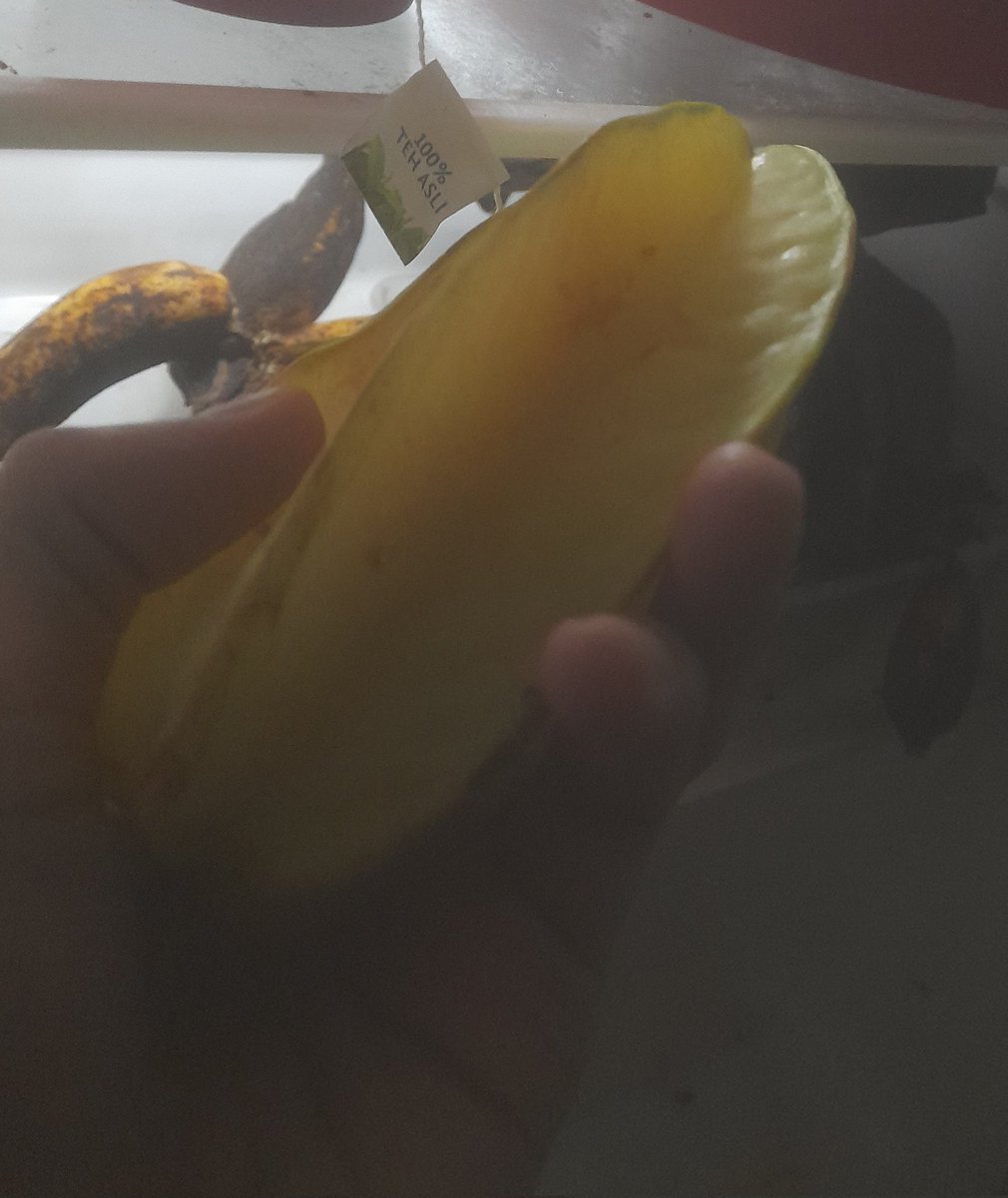 Bar jogging onok buah petrikk
Jann suegerrr
Alhamdulillah