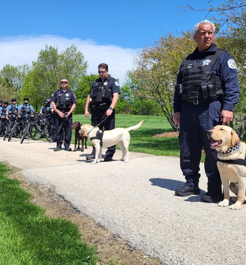 CPD Canine Unit (@Cpdcanineunit) / Posts / X