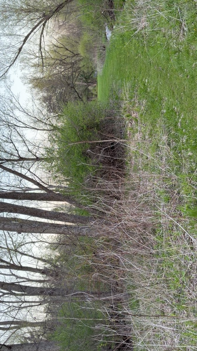 A._.rat.in.a.cage. tweet media