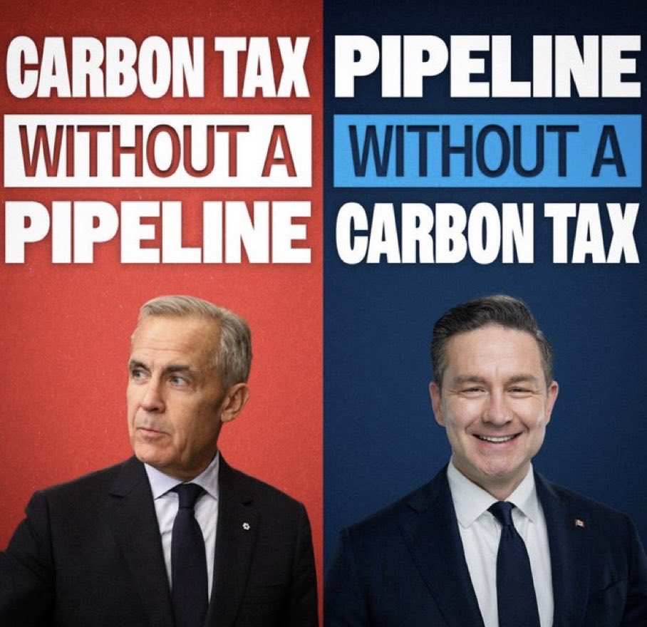 Great Canadian Moose tweet media