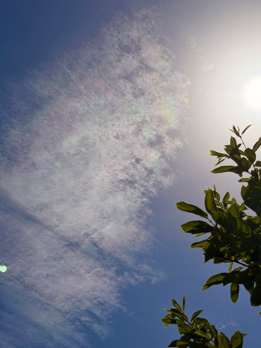 三宅惇子（気象予報士・キャスター・防災士） tweet media