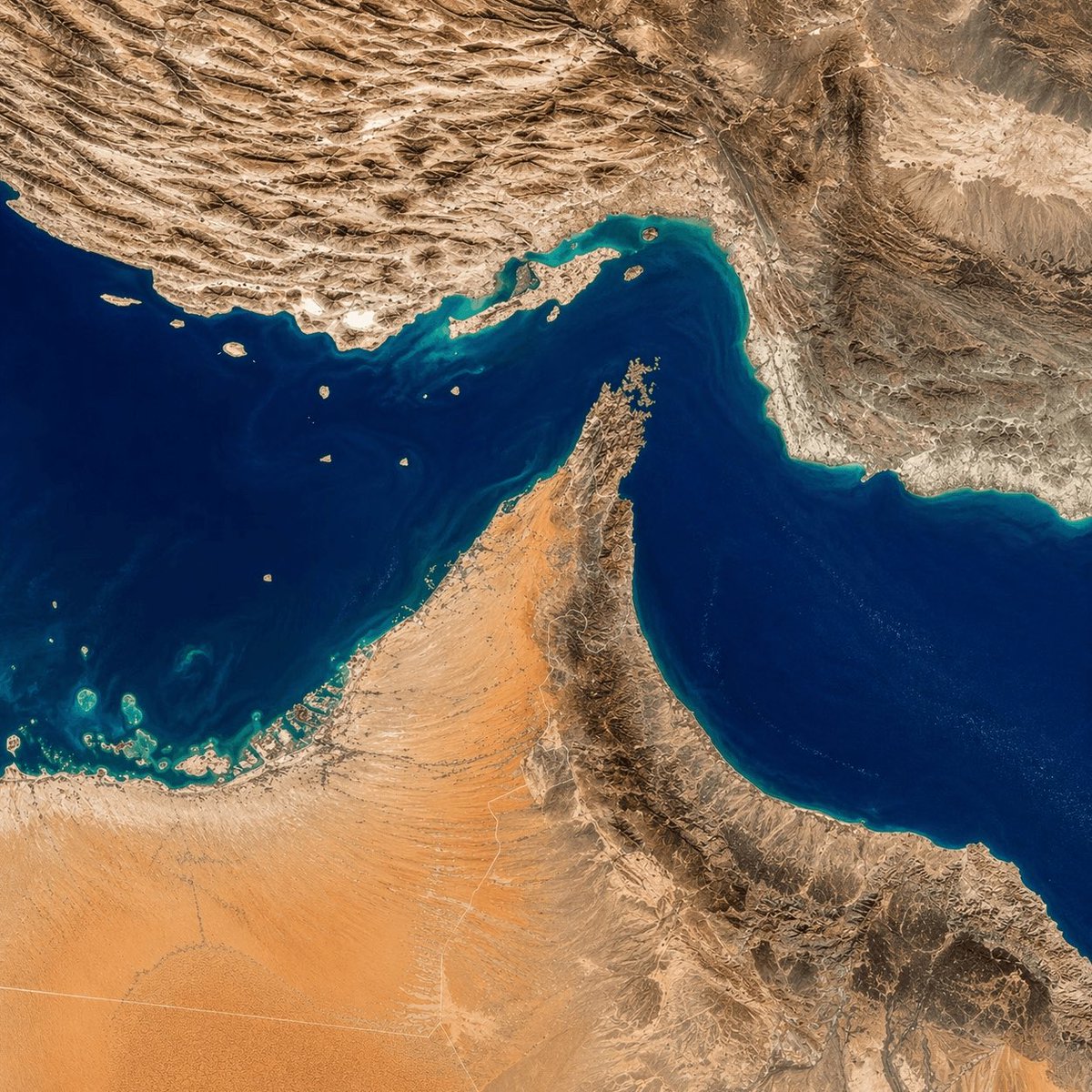 BRICS News tweet media