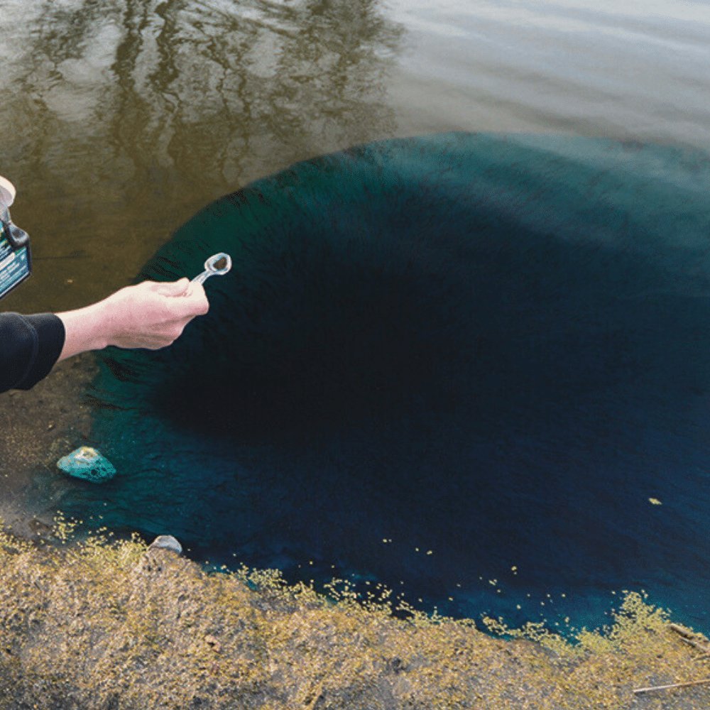 Shepherd tweet media