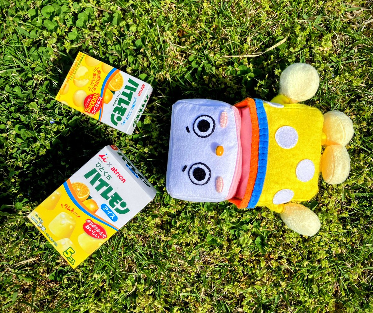 atrion_seika's tweet photo. レモモもとっても喜んでます🍋🧡✨️ https://t.co/QQerZ0FRgc