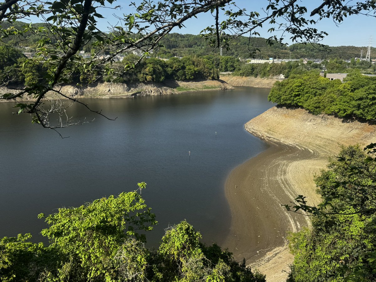 ディケイド tweet media