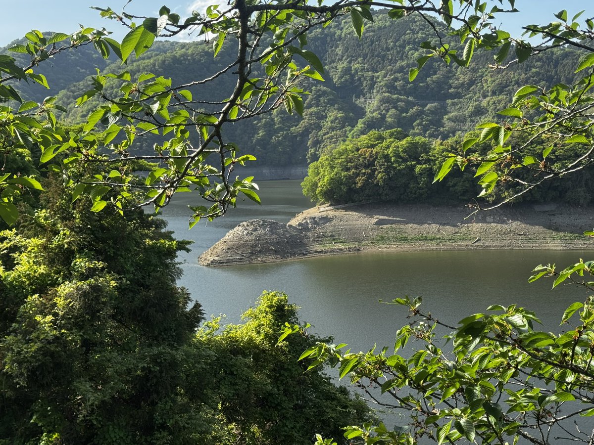 ディケイド tweet media