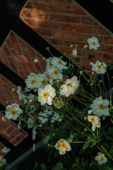 Annette Simon tweet media
