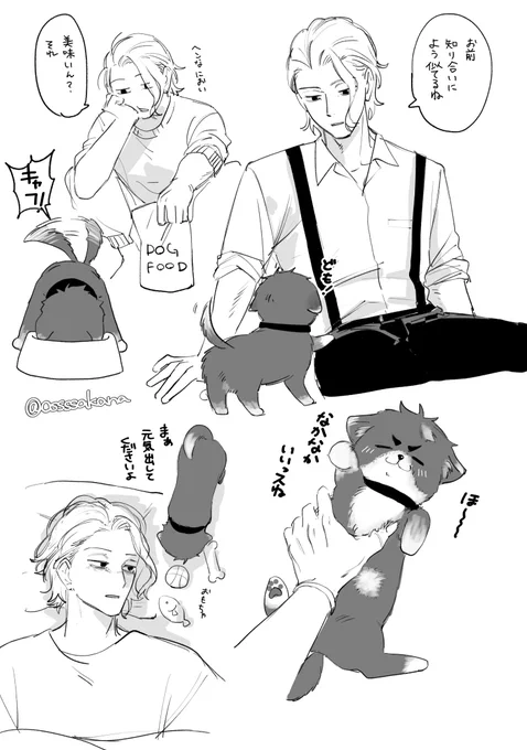 ましろ犬 