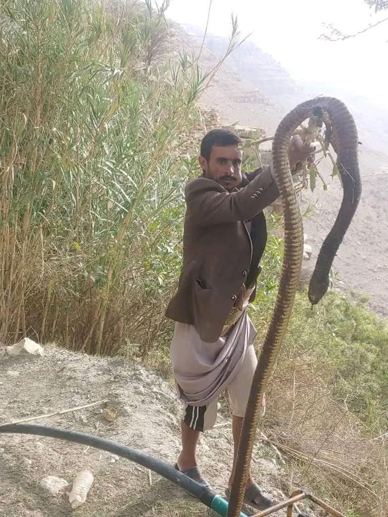 بـلـقـيـس | 𝐁𝐚𝐥𝐪𝐢𝐬 💎 tweet media