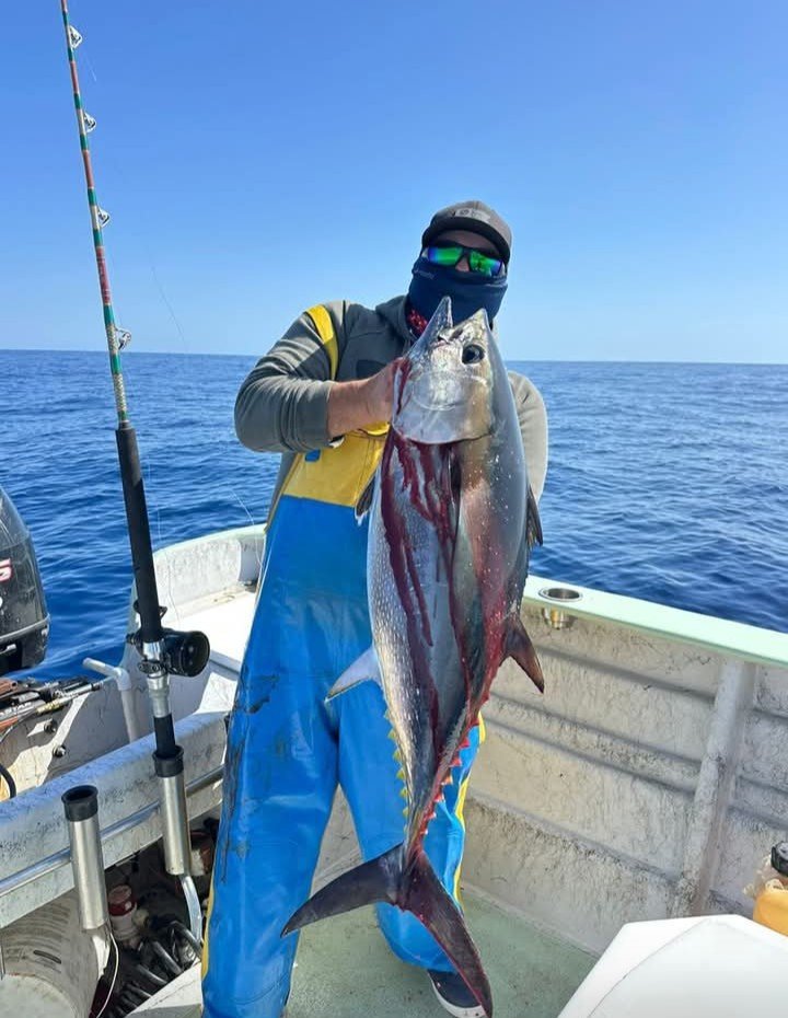 Porfirio León tweet media