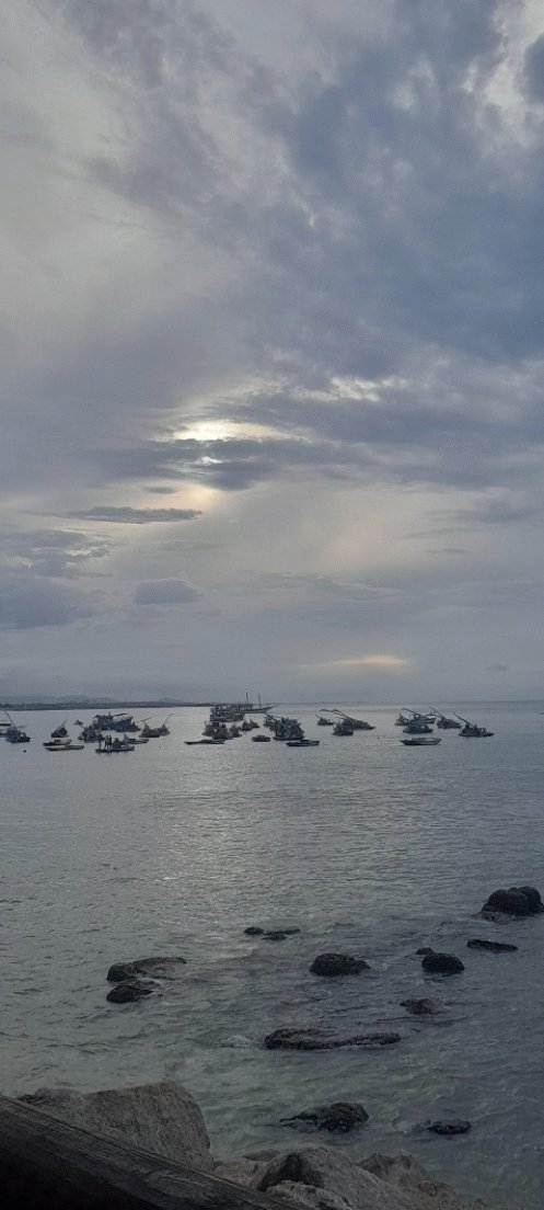 MarciaJaner's tweet photo. Late afternoon on a holiday. All good!🥰🥰🥰 https://t.co/ohlktfx9Dc