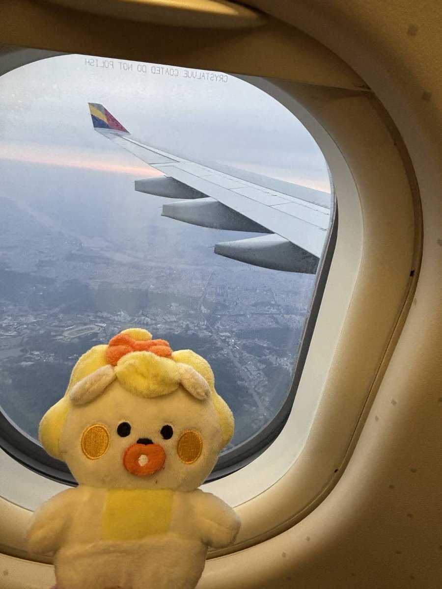 sqO2s0SNvwa8qrc's tweet image. WithUの皆様おはマコ🦁🧡🌈

令和 08年 04月 22日 (水) 晴れ

今日もお休みですけど大量の洗濯物が
待ってる現実😱

余韻ひたひたで虹活🌈主夫活🫡

体調管理しっかりとマコティブ
ファイティンᕦ(ò_óˇ)ᕤ

 #NiziU #MAKO #マコティブ
@NiziU__official