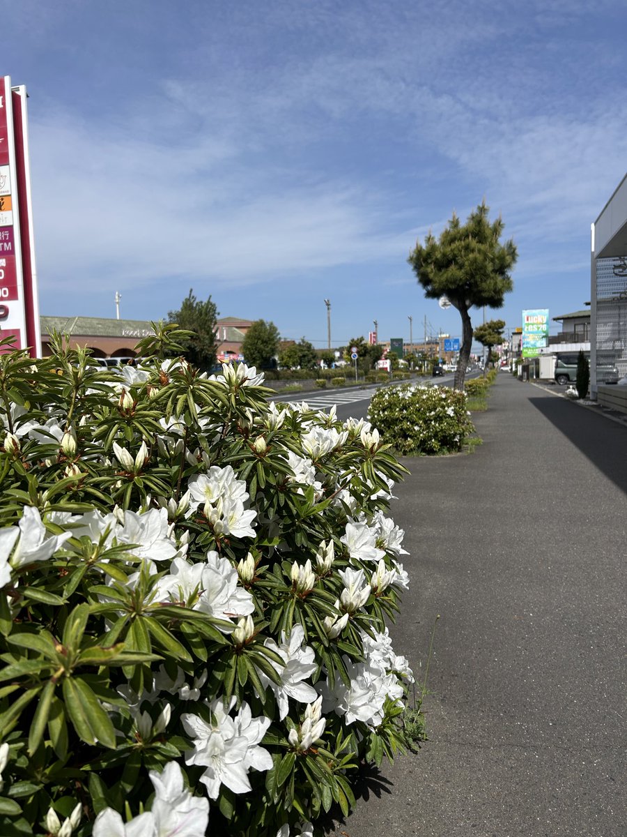 アンシャンテ水戸 tweet media