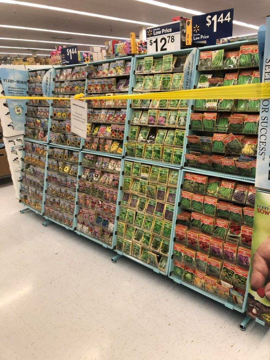 William Samples 🇺🇸 tweet media