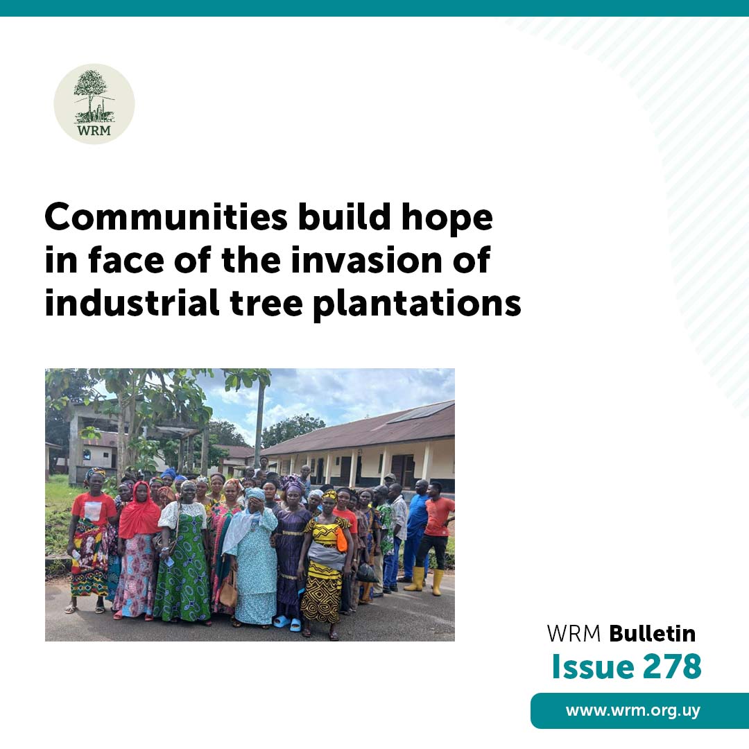WorldRainforest's tweet photo. READ THE LATEST WRM BULLETIN!

➡️ Access the Bulletin here: https://t.co/o6wzMSyxrz https://t.co/liBUoJV92d