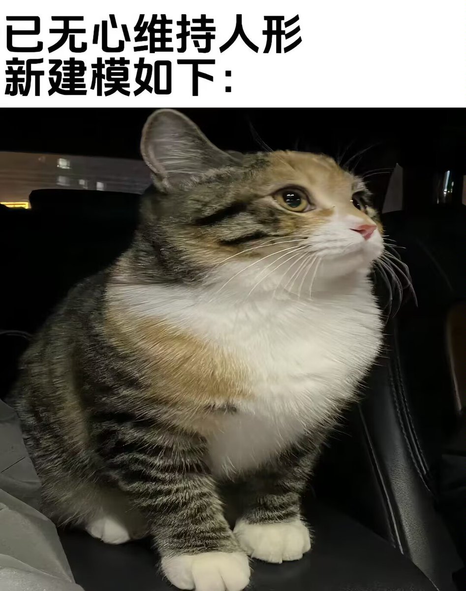 玄刃Xen tweet media