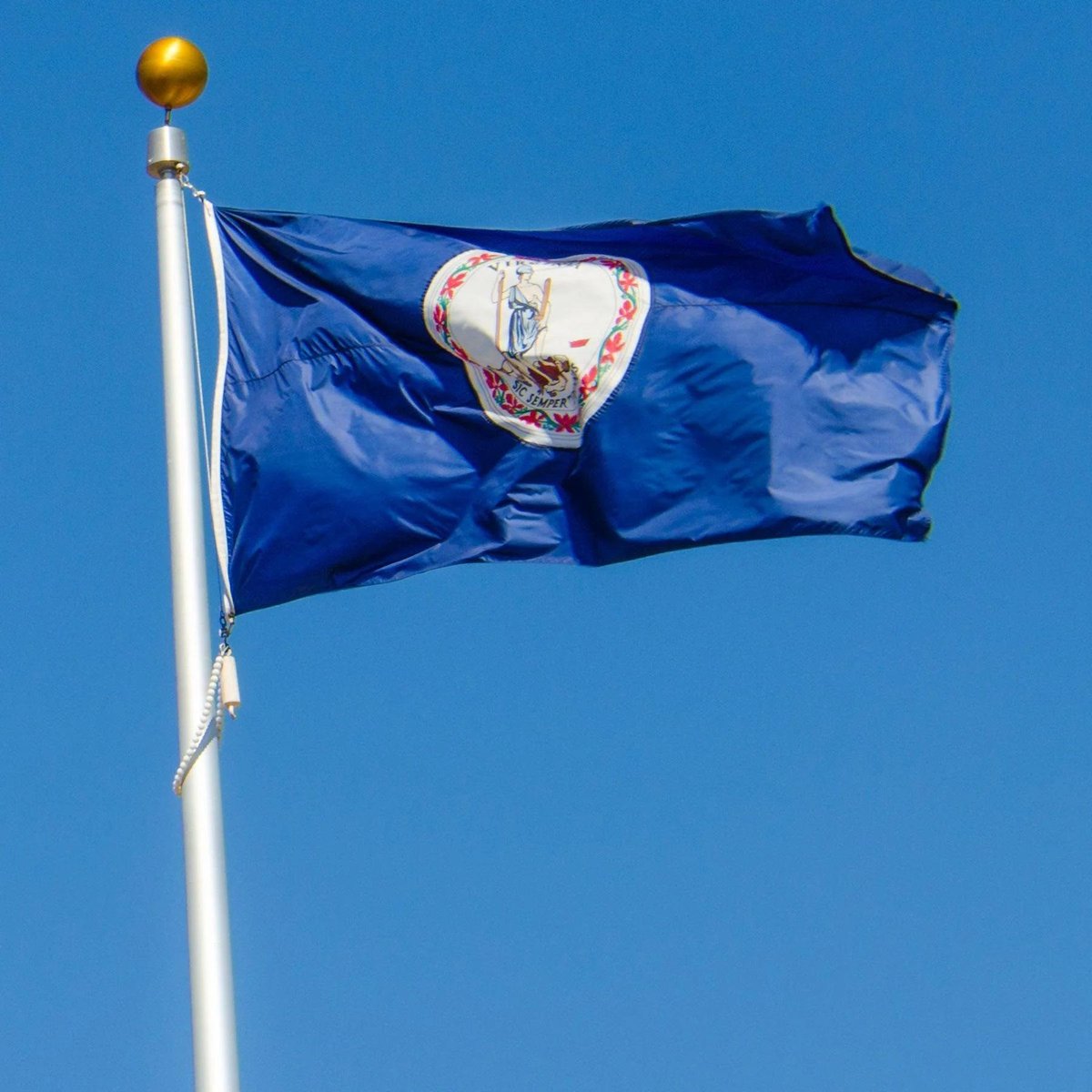 FactPost tweet media