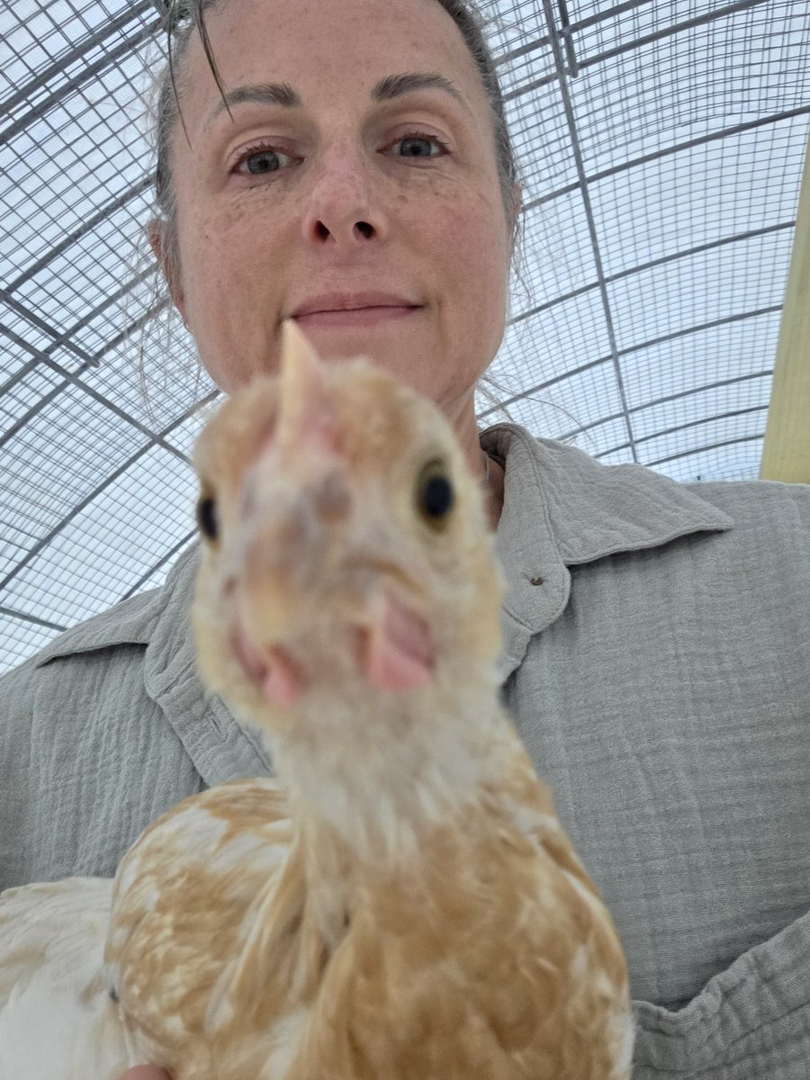 caffandconv's tweet photo. Merry says HI! https://t.co/tsQsXM8diP