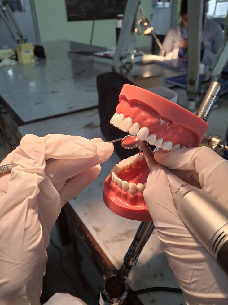 helena 🦷 tweet media