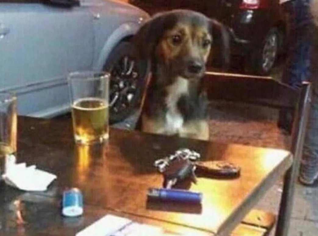 harry james. tweet media