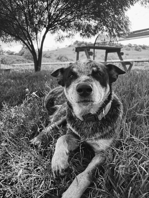 Eric Jackson tweet media