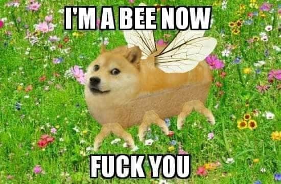 peemasons's tweet photo. we love our bees, our little buzzers. 
it's warm outside and it's almost summer. https://t.co/MpPOCEVwew