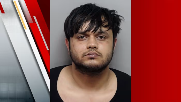 Cruella de Vil tweet media