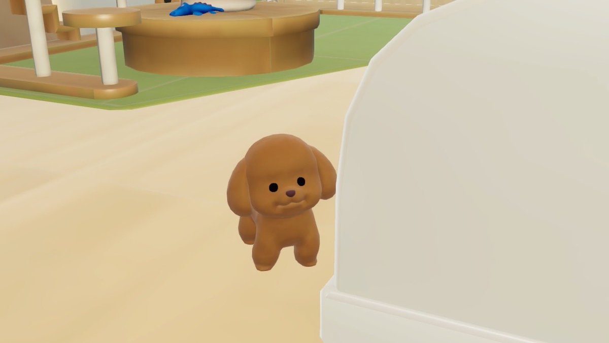 ❥ iamnamm ꕤ tweet media