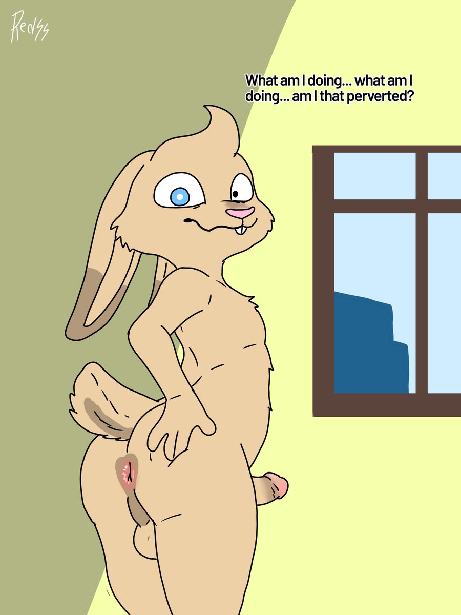 Red fox44 tweet media