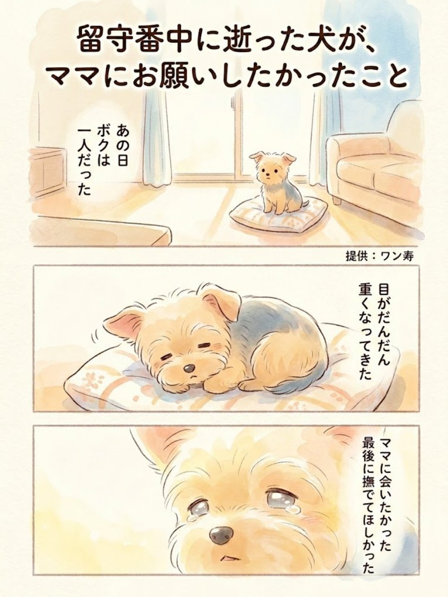 わんわん物語@ワン寿 tweet media