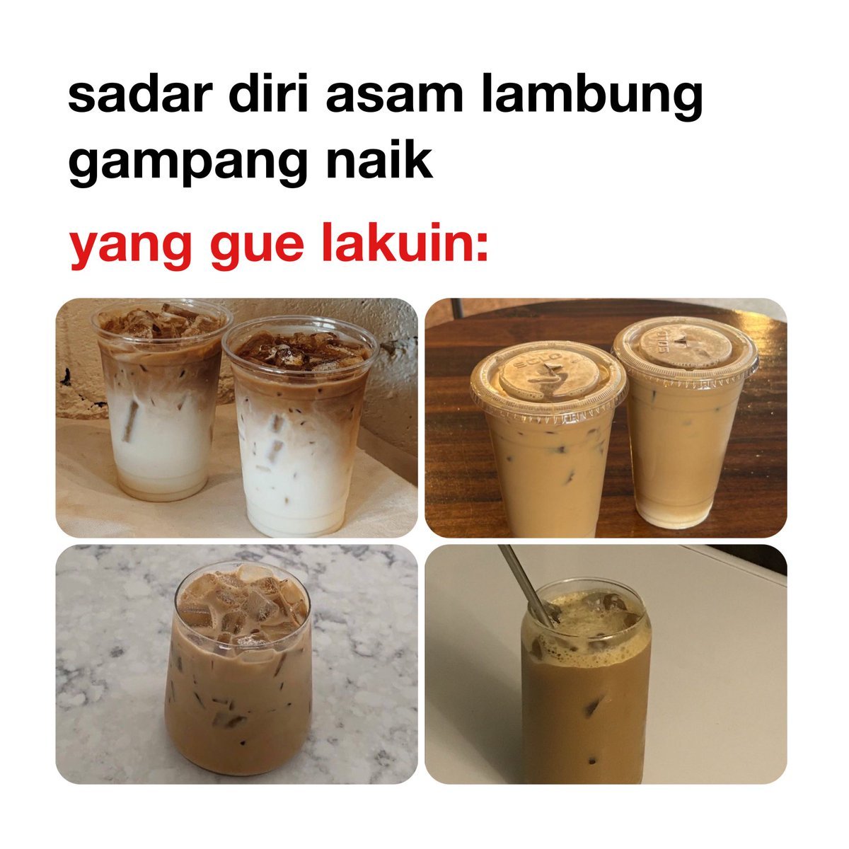 S H E L L A tweet media