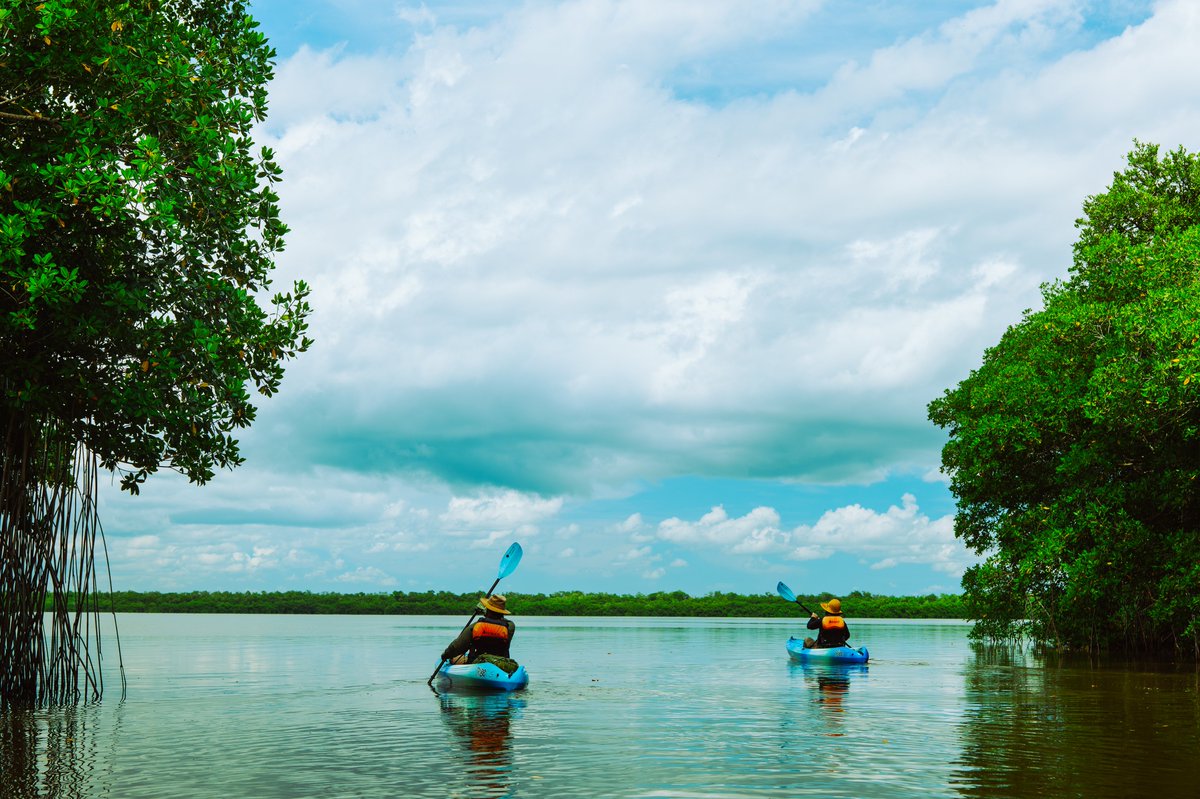 XANDER GEOGRAPHIC 🏕️ tweet media